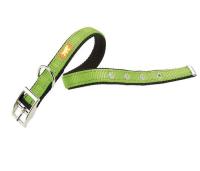 Ошейник ФЕРПЛАСТ DUAL CF15/35 COLOURS двойной, зеленый