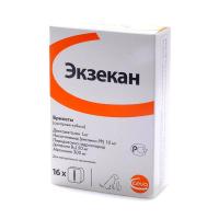 ЭКЗЕКАН №16