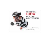 Табличка Дарэлл "Спокойно,шеф,все под контролем" формат А4 0035
