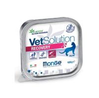Диет. корм Monge VetSolution Cat Recovery Рекавери д/кошек 100 г