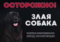 Табличка Дарэлл "Осторожно! Злая собака" формат А5 148*210мм 10027