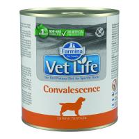 Farmina Vet Life Dog Convalescence ж/б 300г