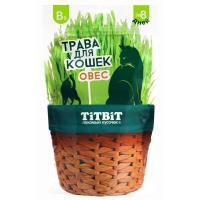 Травка для кошек овес 60г 024751 ТИТБИТ