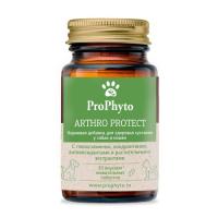 ProPhyto Артро Защита, 30 таблеток