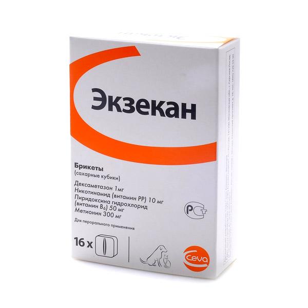 ЭКЗЕКАН №16