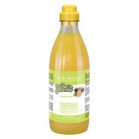 ISB Fruit of the Groomer Maracuja Шампунь для длинной шерсти с протеинами 1 л