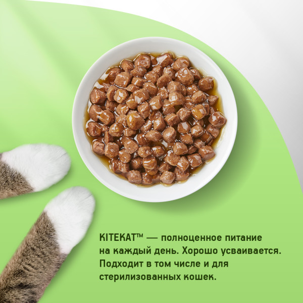 КИТЕКАТ влажный 85г Рыба/соус