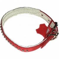 Ошейник МАСТЕР 20мм фурнитура 0220