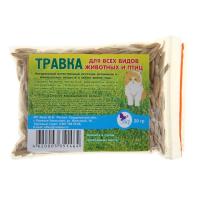 Травка для кошек ЭЛЬФ в пакете (семена) 20г