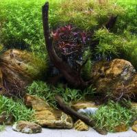 Фон BARBUS BACKGROUND 017 плотный двухсторонний ВОДНЫЙ САД/ЯРКИЕ КАМНИ 45см/94см