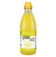 ISB Fruit of the Grommer Ginger&Elderbery Шампунь д/любого типа шерсти против раздр. и перхоти 500мл