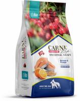 CARNI LIFE Medium Maxi лосось с апельсином и клюквой 12кг д/с средних и крупных пород