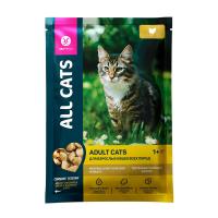 ALL CATS д/кошек пауч тефтельки с курицей в соусе 85г