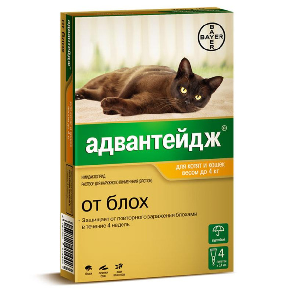 АДВАНТЕЙДЖ капли п/б 40 менее 4 кг д/кошек и котят 1 пипетка (1*4)