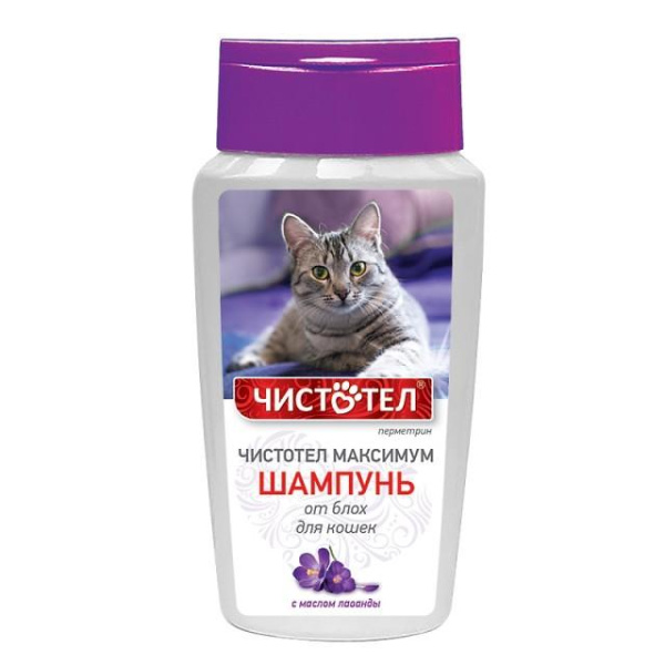 ЧИСТОТЕЛ Шампунь п/б Максимум д/кошек 180мл