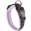 Ошейник ФЕРПЛАСТ SPORT DOG C25/65 сиреневый