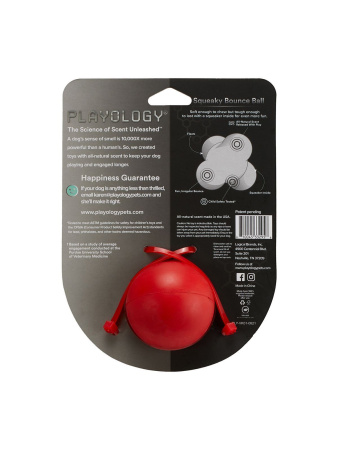 Playology жевательный тройной мяч SQUEAKY BOUNCE BALL для собак средних и крупных пород с пищалкой