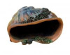 Грот Иж Ш6 раковина