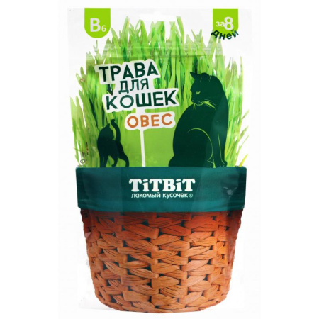 Травка для кошек овес 60г 024751 ТИТБИТ