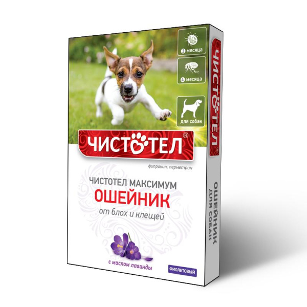 ЧИСТОТЕЛ Ошейник п/б Максимум д/собак (фиолетовый)